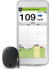 Blood Glucose Monitoring System