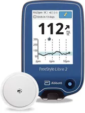 Freestyle Libre 2 system, including a sensor and reader device.